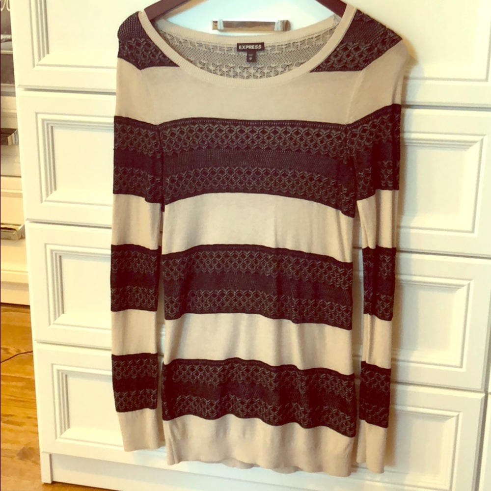 Express striped embroidered sweater